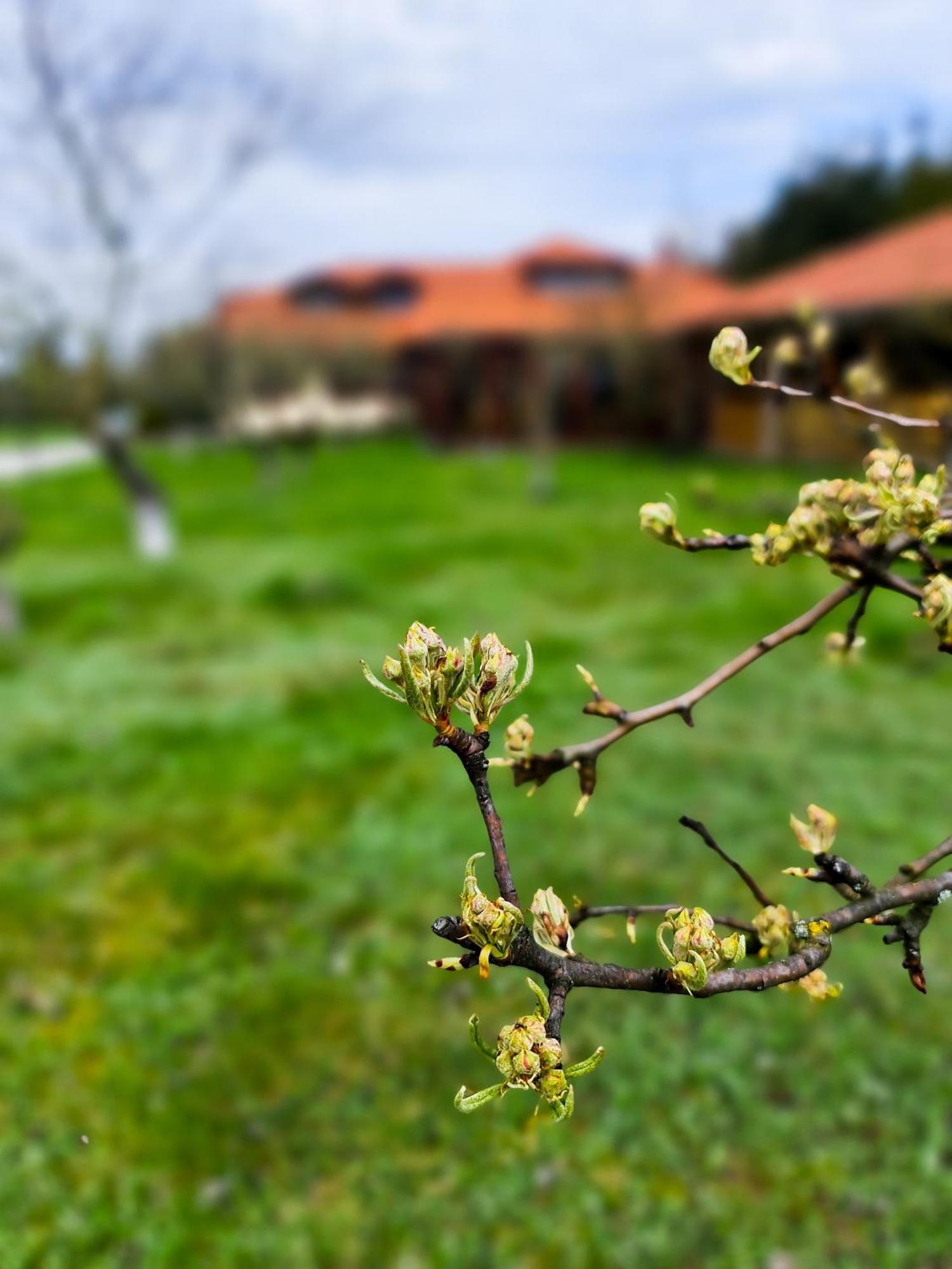 Wargowo Gosciniec Gryszczeniowka & Spa מראה חיצוני תמונה