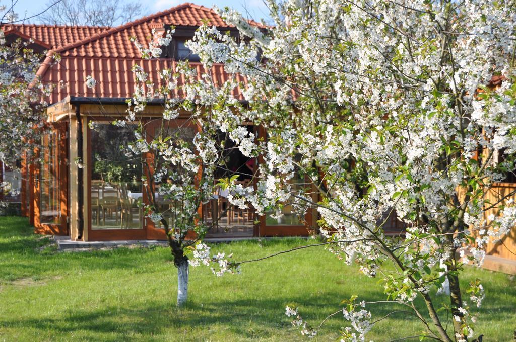 Wargowo Gosciniec Gryszczeniowka & Spa מראה חיצוני תמונה